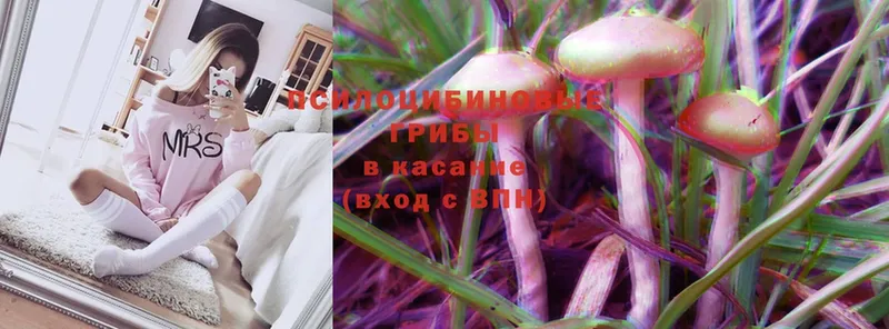 Псилоцибиновые грибы Psilocybine cubensis  MEGA вход  Калтан 